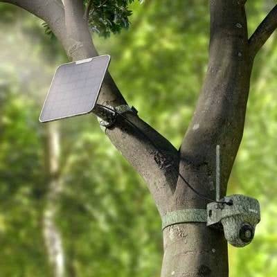 Reolink Wildlife 4K camera G450 + Solar panel 4G LTE
