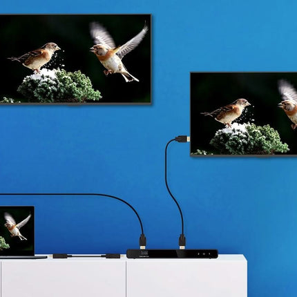 Alarm SystemExpert.fr Alarm SystemExpert.fr Répartiteur HDMI 2 ports, 4K 60Hz UHD