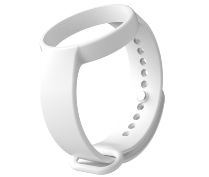 Alarm SystemExpert.fr Alarm SystemExpert.fr Bracelet DS-PDB-IN