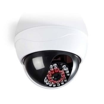 Nedis Nedis Caméra de sécurité factice Dôme IP44 Blanc