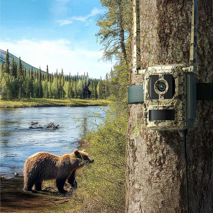 Reolink Reolink S130-C, Wildlife 8MP 4K camera with Live view and Starlight
